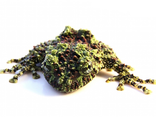 Mossy Frog for Sale